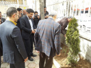 کاشت نهال توسط دکتر محمدحسین امید در مرکز علمی کاربردی دریژنو در روز درخت¬کاری