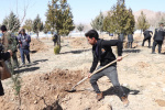 حضور پر شور دانشجویان مرکز آموزش علمی کاربردی فرهنگ و هنر دریژنو در مراسم روز درختکاری شهر فرخشهر